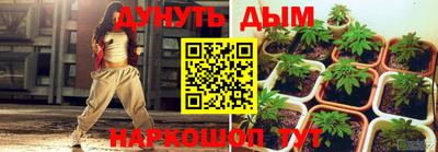 a pvp Бийск