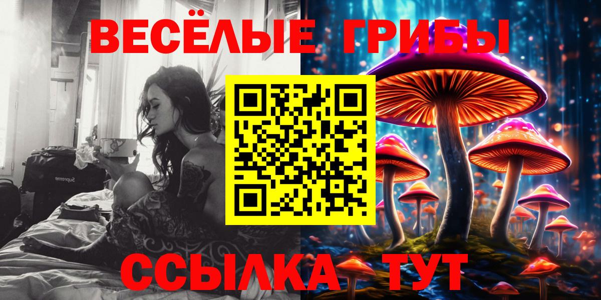 Галлюциногенные грибы MAGIC MUSHROOMS  Вход с VPN  цена   Галлюциногенные грибы Cubensis  Воронеж 