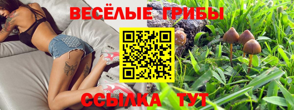 Галлюциногенные грибы MAGIC MUSHROOMS Воронеж